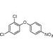 2,4-二氯-4'-硝基联苯醚，2,4-Dichloro-4'-nitrobiphenyl Ether ，1836-75-5，5G