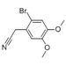 2-溴-4,5-二甲氧基苯乙腈, 51655-39-1, 1g