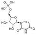尿苷-5'-一磷酸, 58-97-9, 95+%, 1g