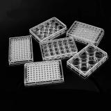 Trxmark平底细胞培养板，盒装灭菌，1个/盒，48孔表面未处理，1个